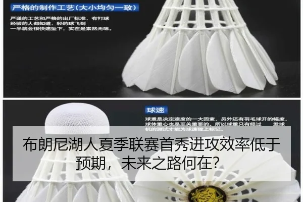 bu-lang-ni-hu-ren-xia-ji-lian-sai-shou-xiu-jin-gong-xiao-lv-di-yu-yu-qi-wei-lai-zhi-lu-he-zai-3-135.jpg