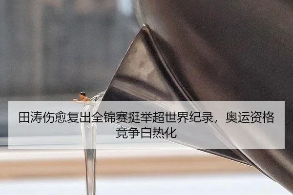 田涛伤愈复出全锦赛挺举超世界纪录，奥运资格竞争白热化
