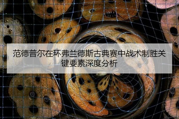fan-de-pu-er-zai-huan-fu-lan-de-si-gu-dian-sai-zhong-zhan-shu-zhi-sheng-guan-jian-yao-su-shen-du-fen-xi-2-907.jpg