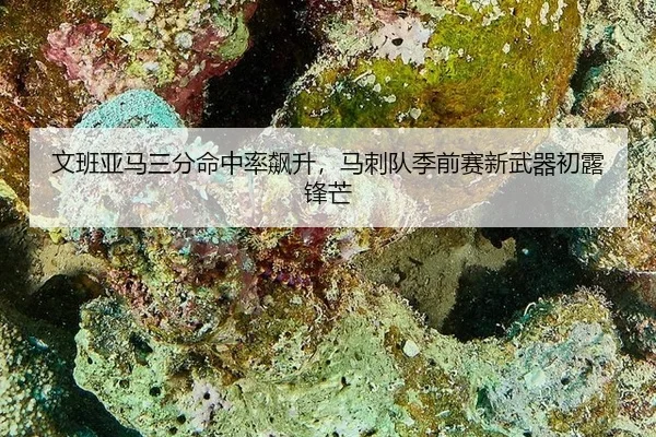 文班亚马三分命中率飙升，马刺队季前赛新武器初露锋芒